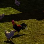 Видео из Farming Simulator 2013