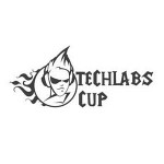 Киевский финал Techlabs Cup состоится в эту субботу