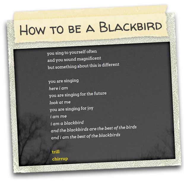 indie-22may2014-03-how_to_be_a_blackbird