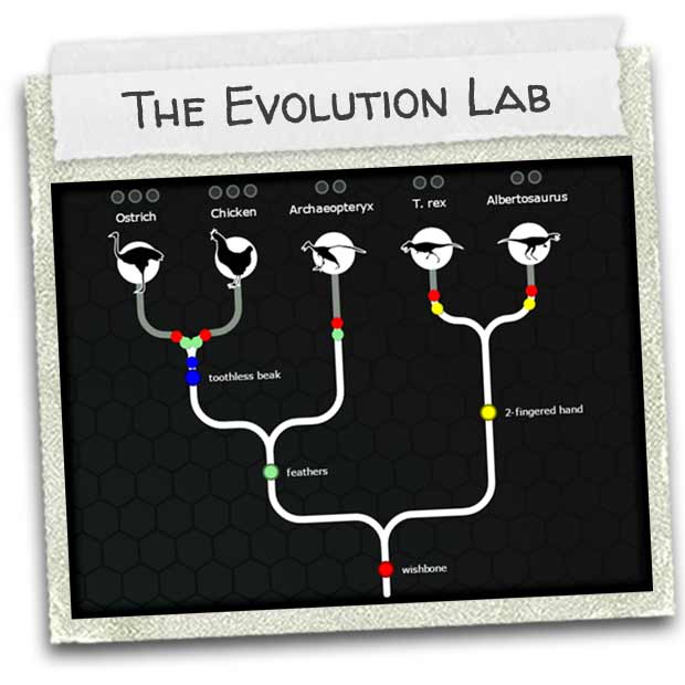 indie-27may2015-01-the_evolution_lab