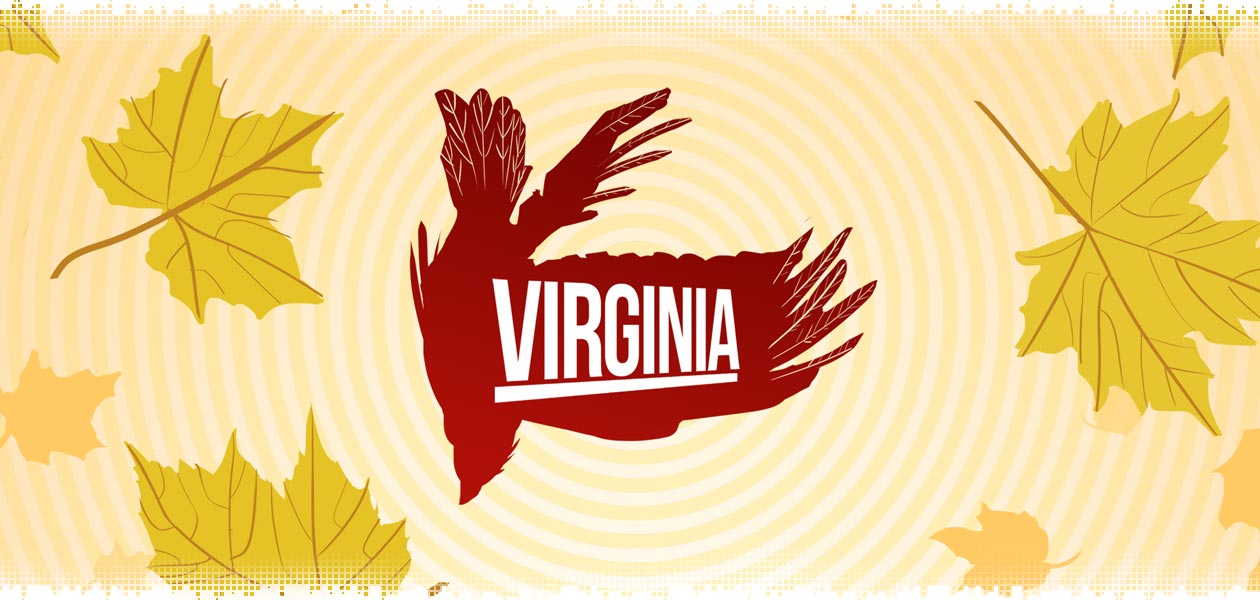 logo-virginia-review
