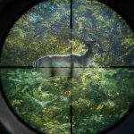 Avalanche Studios выпустит theHunter: Call of the Wild — продолжение «симулятора охоты» theHunter