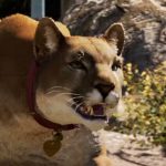 Видео о тонкостях войны с сектантами в Far Cry 5