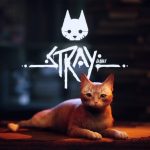 Премьера Stray, игры про бездомного кота, намечена на июль