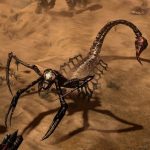 Epic раздает Warhammer 40K: Gladius — Relics of War